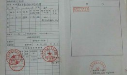 房产证父子份额怎么分(房产证父子共有)