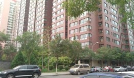 常宁华众房产怎么样(常宁华宁装饰公司口碑如何)