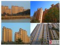 绿盛房产置业怎么样(绿盛房产置业怎么样啊)
