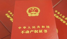 继子的房产证怎么写(继子女继承房产)