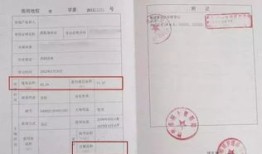 房产证共同共有怎么分(房产证共同共有份额如何确定)