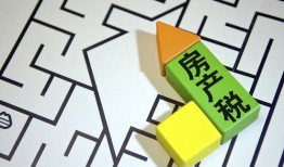 预期房产税怎么发放(预期房产税怎么发放的)