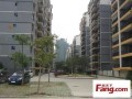 怎么查询办房产证进度(怎么查询办房产证进度情况)