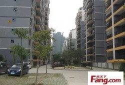 怎么查询办房产证进度(怎么查询办房产证进度情况)