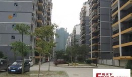 怎么查询办房产证进度(怎么查询办房产证进度情况)