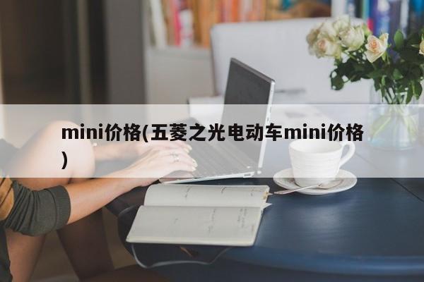 mini价格(五菱之光电动车mini价格)