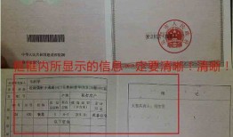 阳江房产查询证明怎么开(阳江市房产证查询)