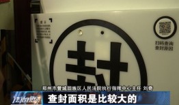 怎么查询查封房产记录呢(如何查询查封房产)