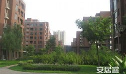 麦田房产租赁工作怎么样(麦田有租房业务吗)