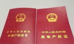 新证房产税怎么收(新房产证缴税税率)