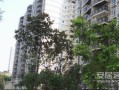 普洱佳惠房产怎么样(普洱佳和小区)