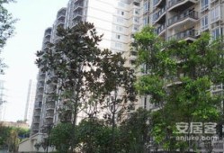 普洱佳惠房产怎么样(普洱佳和小区)