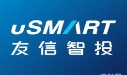 智投房产咨询怎么样(智投公司)