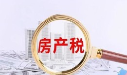 重庆怎么办房产税(重庆市的房产税在哪儿交)