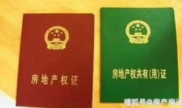 继子的房产证怎么查(继子有房产继承权吗)