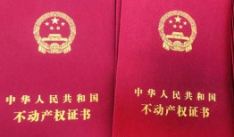 房子主人怎么卖掉房产证(房子怎么卖给别人)