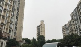 大丰金禾房产怎么样(大丰金丰小区二手房出售)