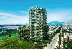 荣成新元房产怎么样(荣成新元建筑设计院)