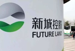 望舒房产置业怎么样(望舒装饰有限公司)