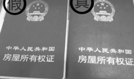 手机莆田房产证怎么查(莆田查询房产状态哪里查询)