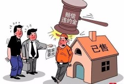 房产中介违约了怎么解决(房产中介违约不赔违约金怎么办)
