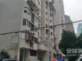 东明房产看房怎么样(东明房地产)