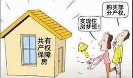 共有房产纠纷怎么判(共有产权房纠纷怎么解决)