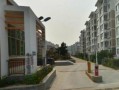 临县幸福里房产怎么样(临县幸福里幼儿园)