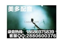 房产项目音频怎么做的(房地产音频)