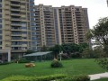 柳河恒大房产怎么样(柳州市恒大御府地址)