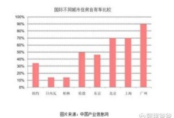 住房产权户数怎么算的(住房产权比例什么意思)