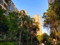 东京房产评价怎么样(东京房产评价怎么样啊)