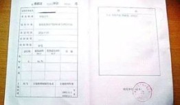 福建农村房产证怎么查询(福建农村房产证怎么查询真伪)