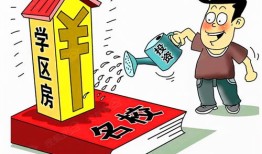 房产共有人失能怎么处理(房产有共有人的能被执行吗)