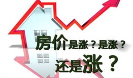 海拓房产直播间怎么进入(海拓房地产有限公司)