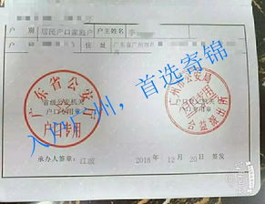 怎么授权别人帮办房产证(怎么授权别人帮办房产证手续)