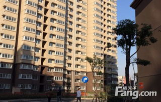 上海徐泾房产怎么样(上海徐泾房价格)