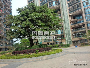 中鑫海房产怎么样(中鑫海地产公司地址)