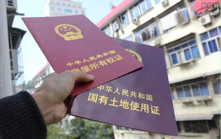 兄弟房产过户费用怎么算(兄弟房产过户手续)