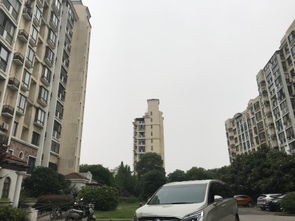 大丰金禾房产怎么样(大丰金丰小区二手房出售)
