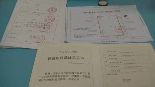 农村股权怎么补办房产证(农村股权怎么补办房产证手续)