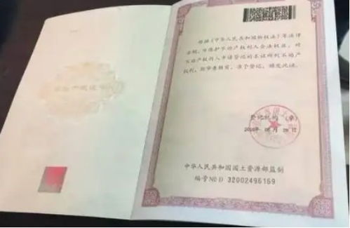 湖南房产证遗失怎么补办(湖南房产证查询系统)