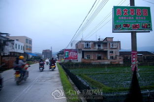 绵阳燕姐房产怎么样(四川燕姐)