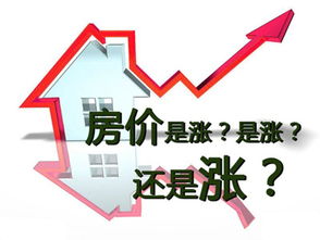 海拓房产直播间怎么进入(海拓房地产有限公司)