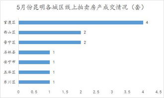 个人的域名怎么拍卖房产(域名拍卖交易流程)