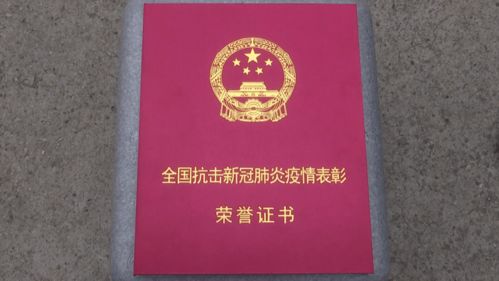 辽宁怎么线上查询房产证(辽宁房产管理局查询)