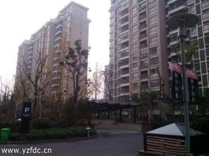 苏家屯铭家房产怎么样(苏家屯名京广场最新消息)