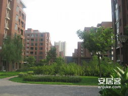 麦田房产租赁工作怎么样(麦田有租房业务吗)