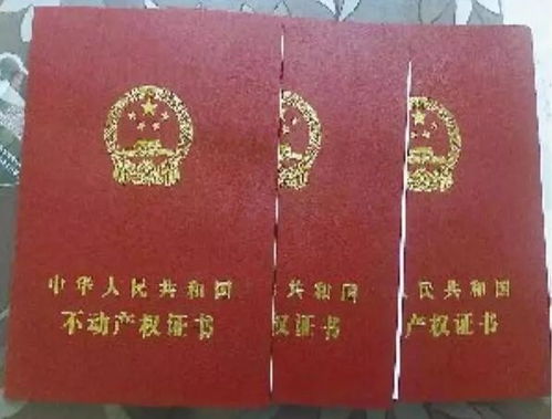 院子封顶怎么备案房产证(小院封顶) 院子封顶怎么备案房产证(小院封顶)