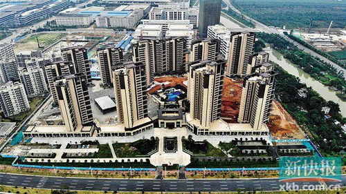 共有房产谁居住怎么查(如何查房子的共有产权人)